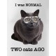 Normal 2 cats AGO - pánské tričko