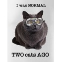 Normal 2 cats AGO - pánské/dámské/dětské